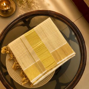 Kanaka Tissue Check Saree